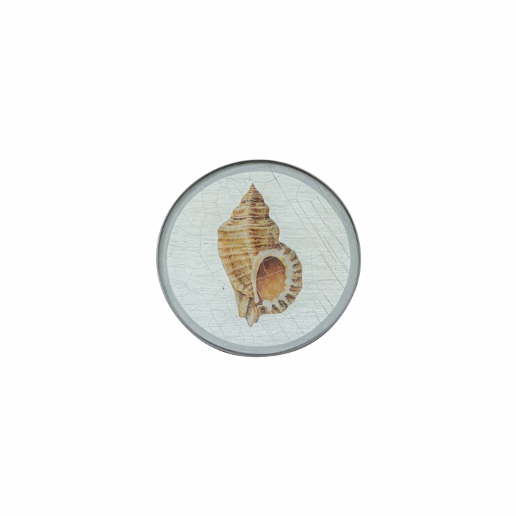 Round Coaster, Shells on silver leaf    £23