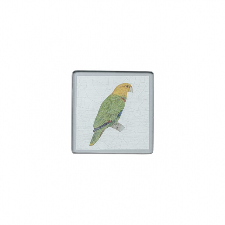 Square coaster, Parrot on silver leaf    £23