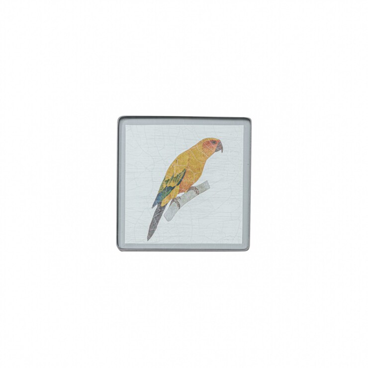 Square coaster, Parrot on silver leaf     £23