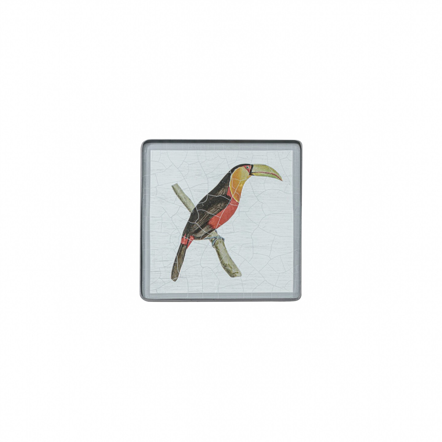 Square coaster, Toucan on silver leaf    £23