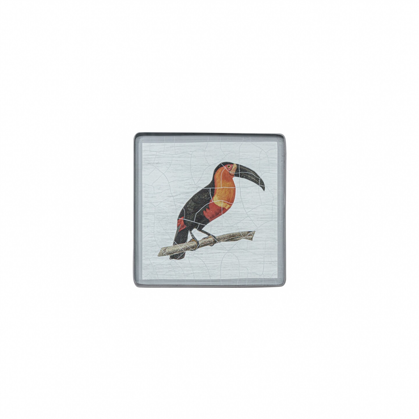 Square Coaster Toucan on silver leaf