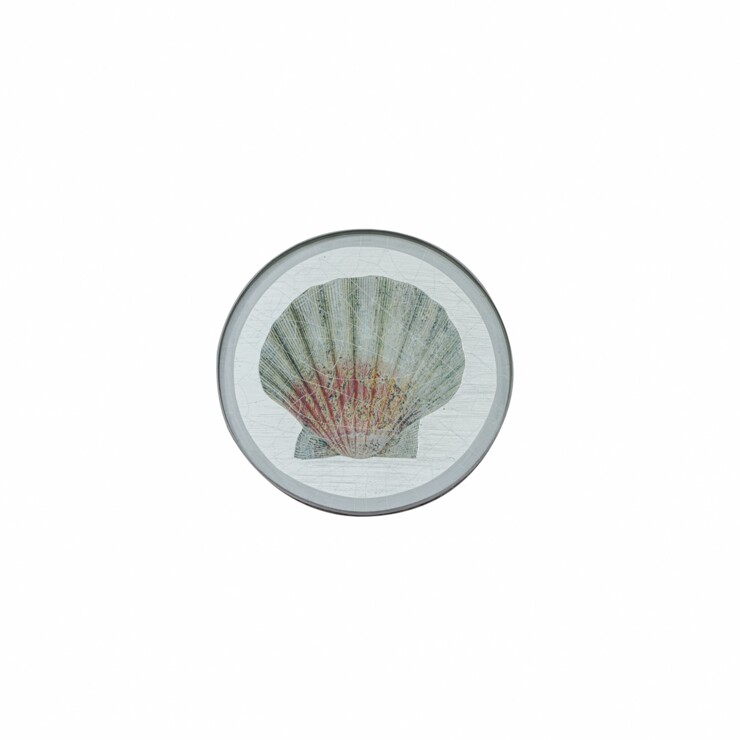 Round Coaster, Shells on silver leaf    £23