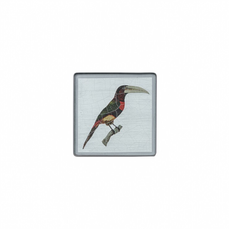Square coaster, Toucan on silver leaf    £23
